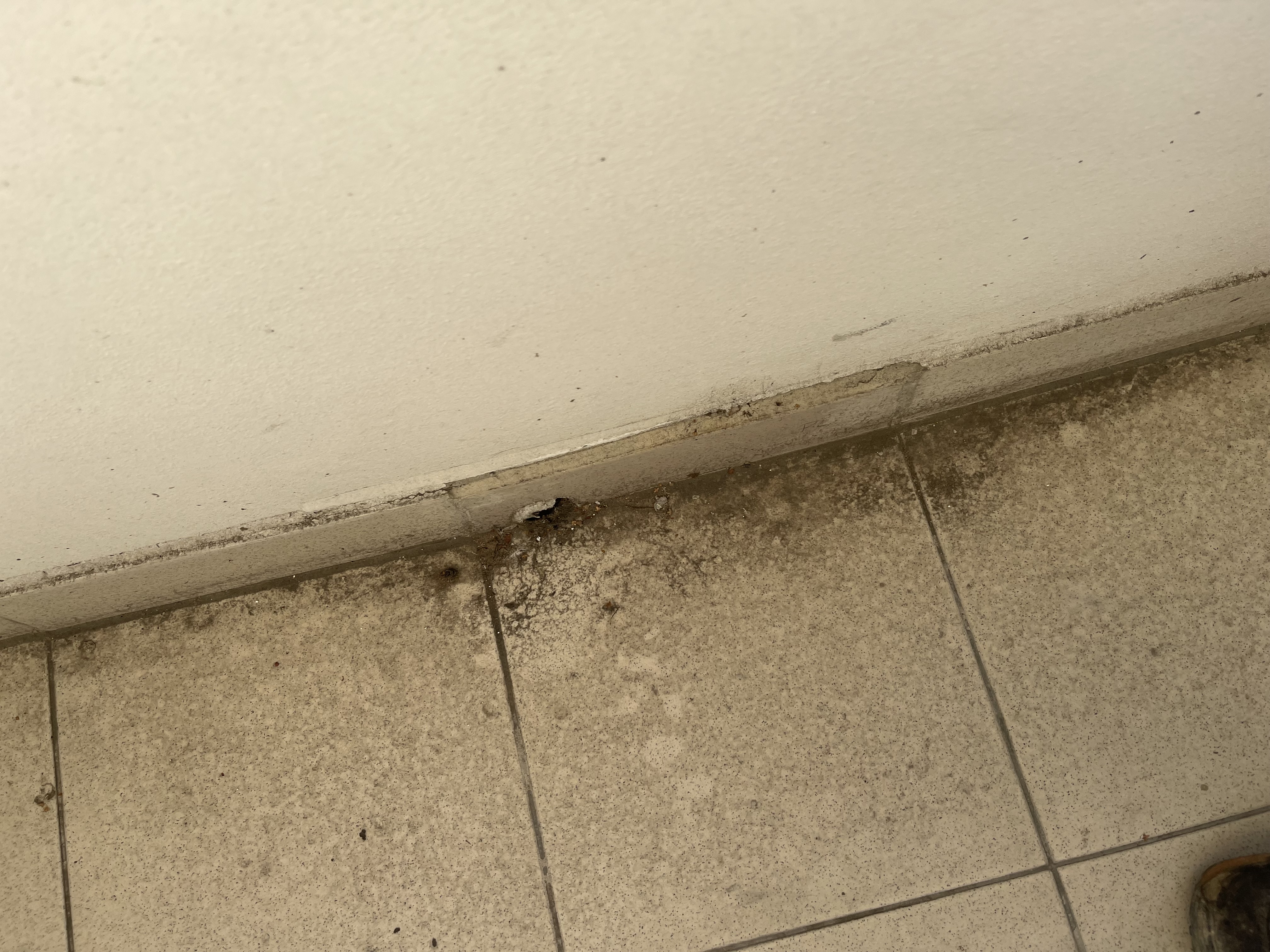 Rekonstrukce bytu - IMG_3890